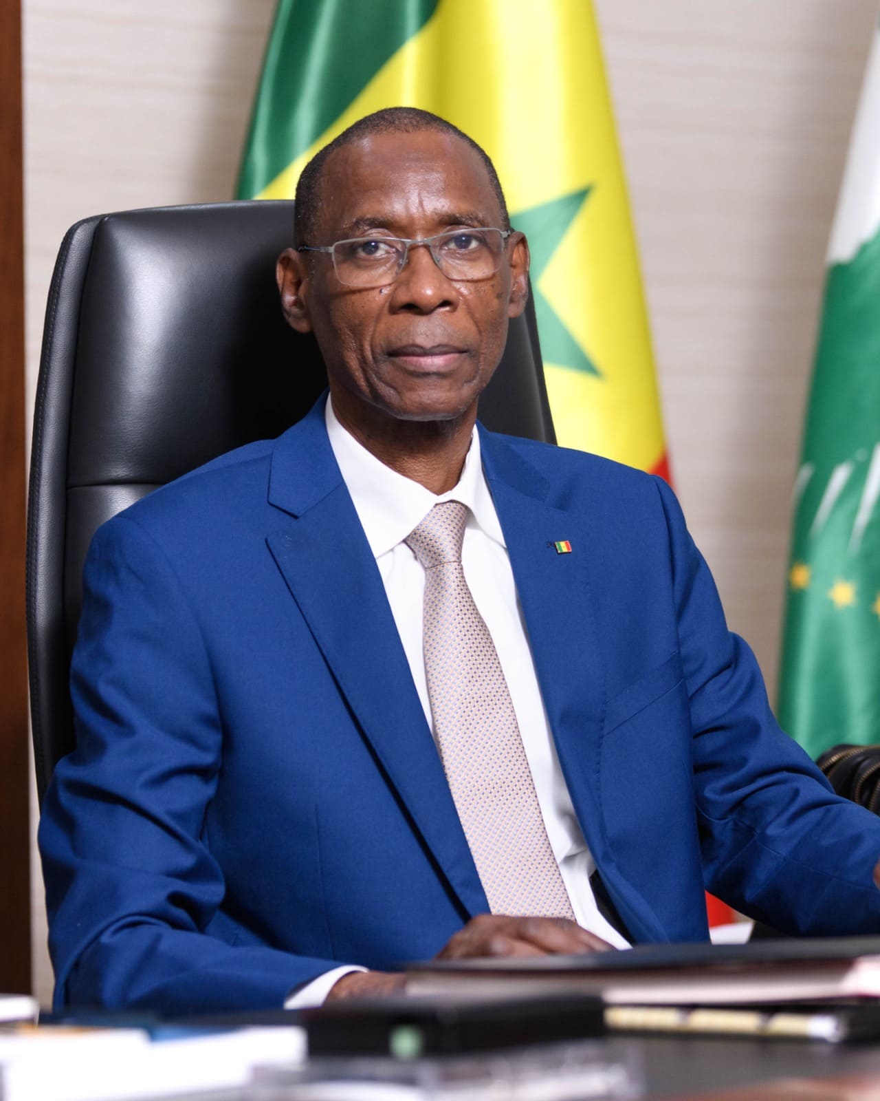 S.E.M. Cheikh NIANG, Ministre de l’Intégration africaine, des Affaires étrangères et des Sénégalais de l’Extérieur 